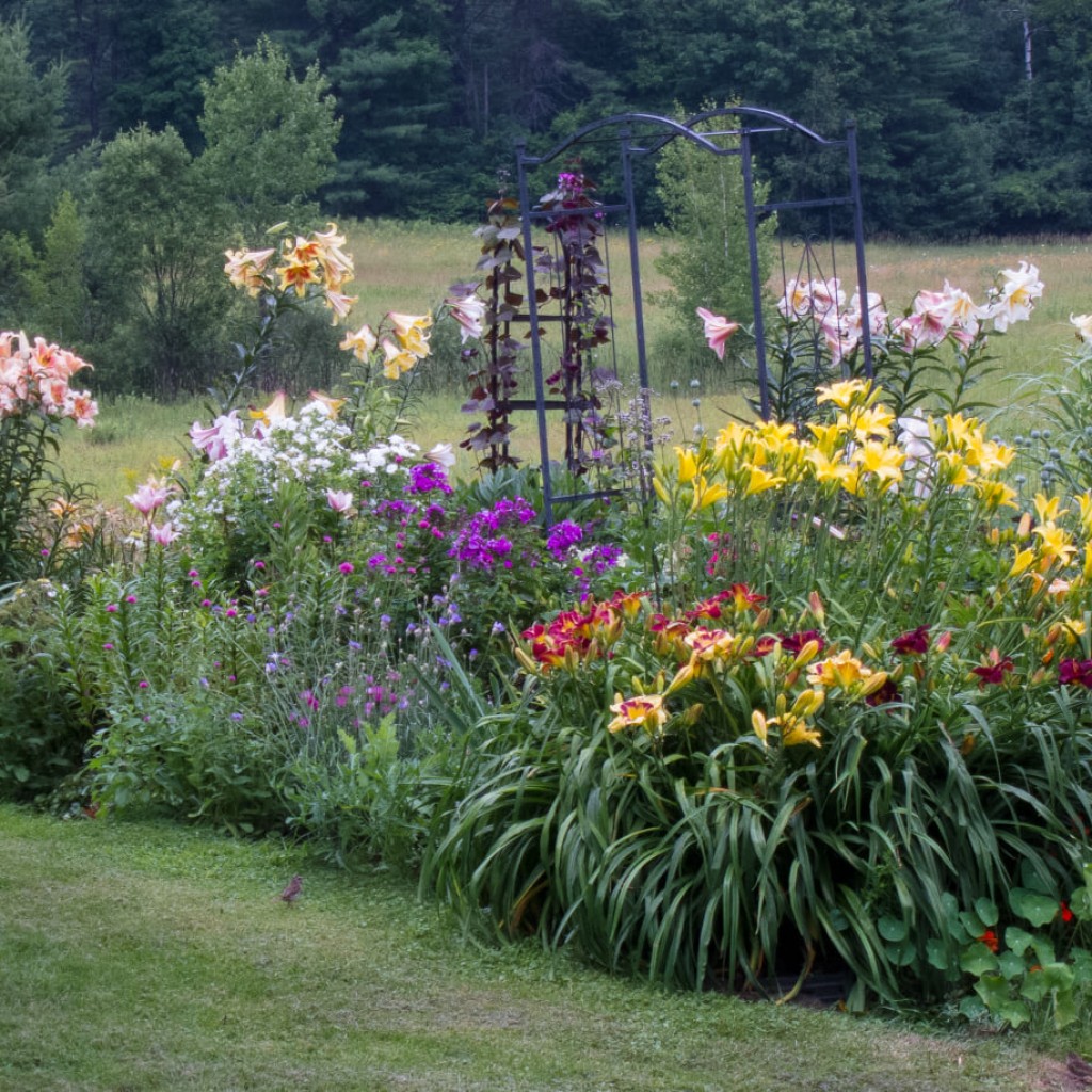 Fifty Years of Botanic Garden