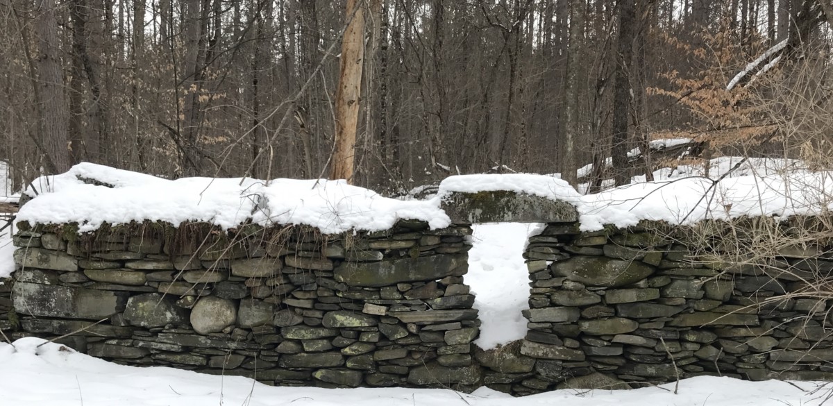 The Weather Diaries Finding Ebenezer Norwich Historical Society