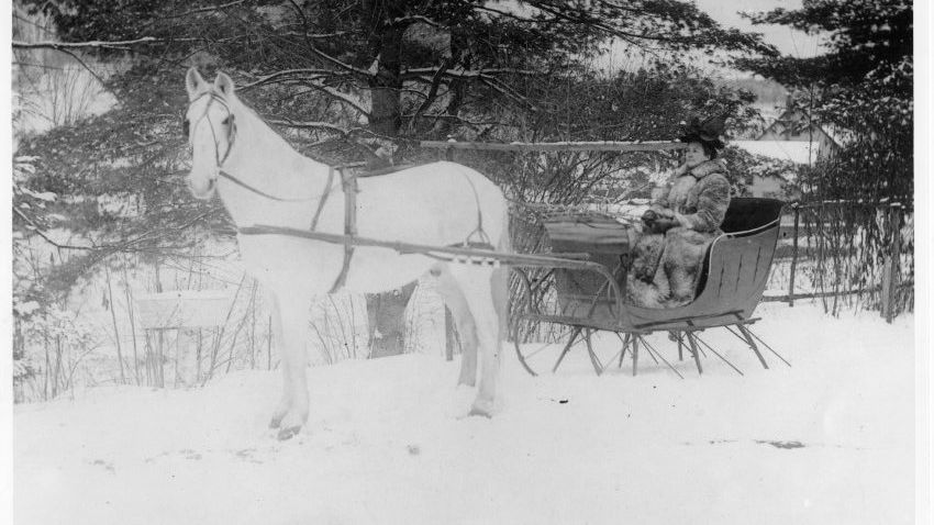 Horse drawn-Carriages - Transportation in the 1800's