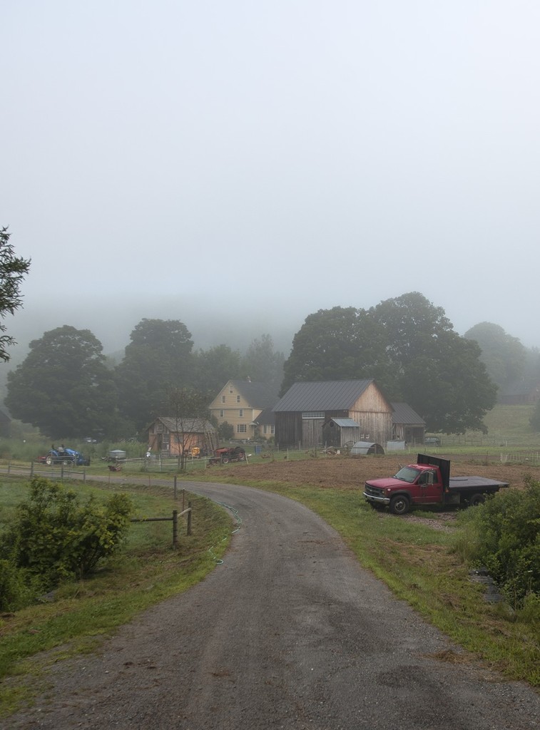 misty view down farm’s road